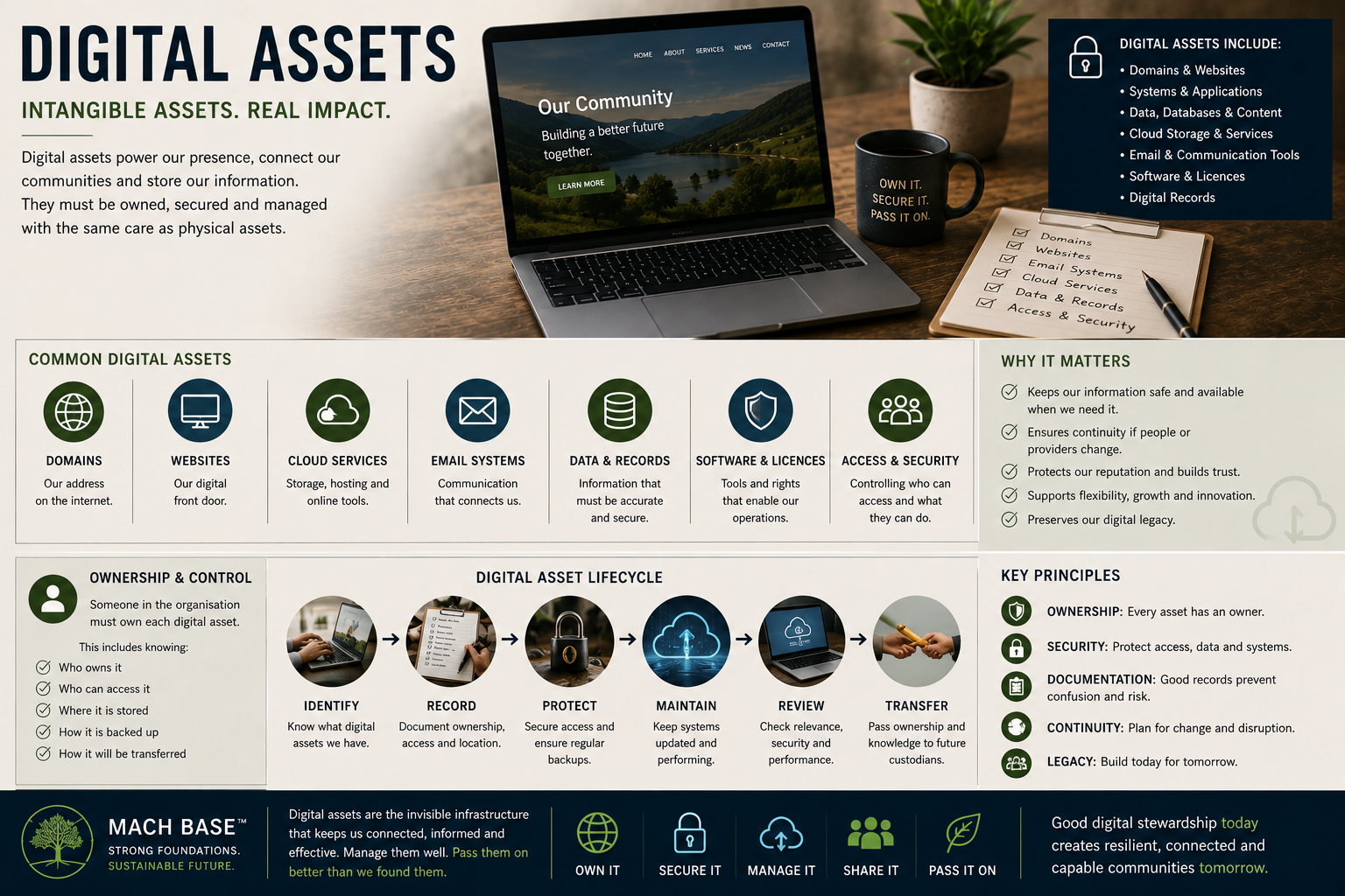Asset Logic Banner